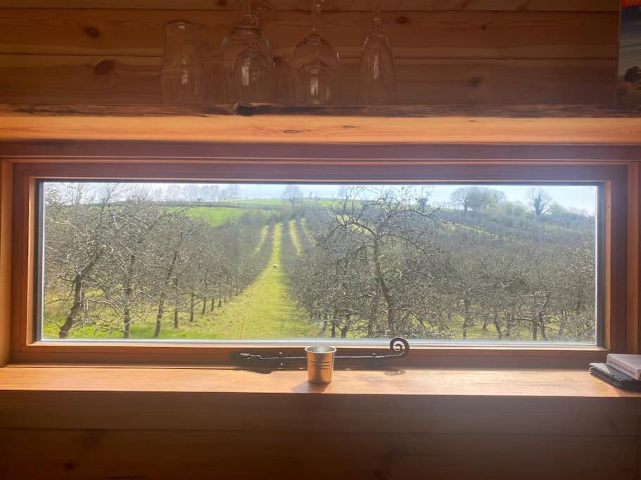 Apartment Orchard Retreat Off Grid Shepherds Huts In Dorset Dorchester