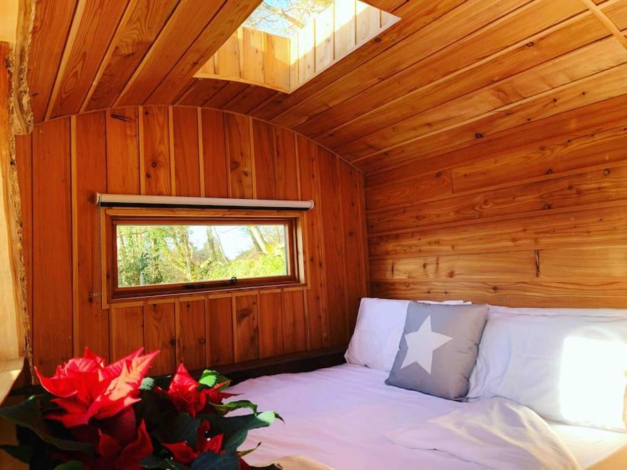 Apartment Orchard Retreat Off Grid Shepherds Huts In Dorset *